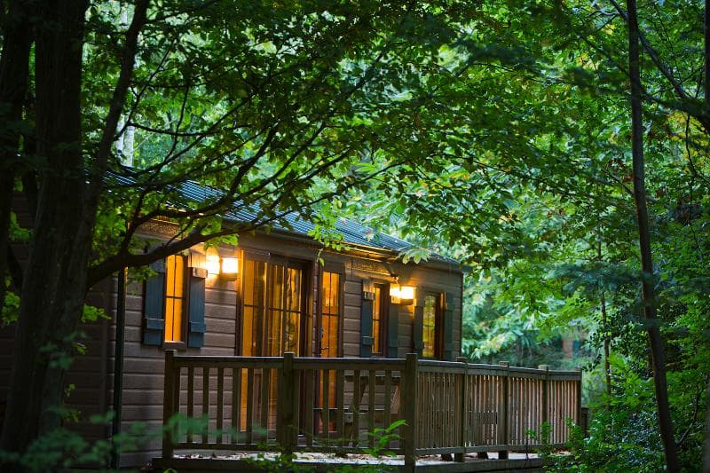 Disney Davy Crockett Ranch + Tickets